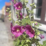 Blackberryhouse