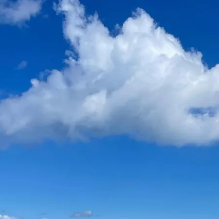 Bed and breakfast Blackberryhouse *