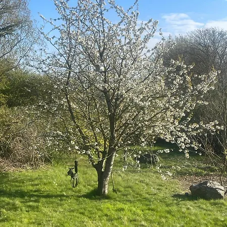 Bed and breakfast Blackberryhouse