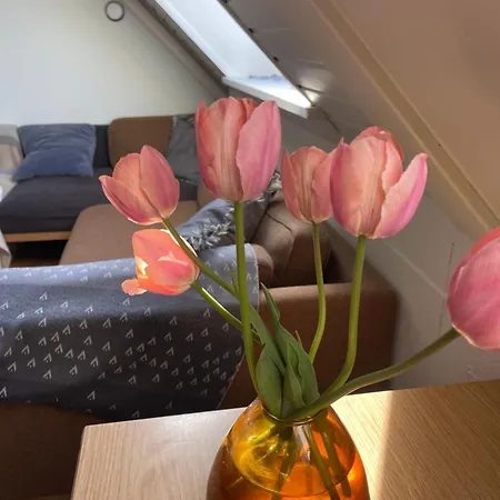 Bed and breakfast Blackberryhouse Ærøskøbing