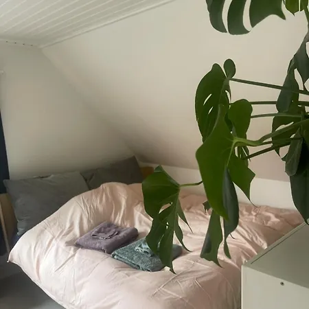 Blackberryhouse Ærøskøbing